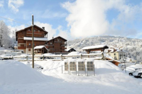 Spacious and comfortable chalet apartment.